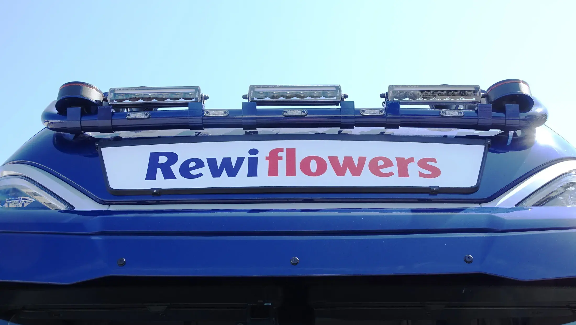 DAF XG+ 480 FT NGD - REWI FLOWERS