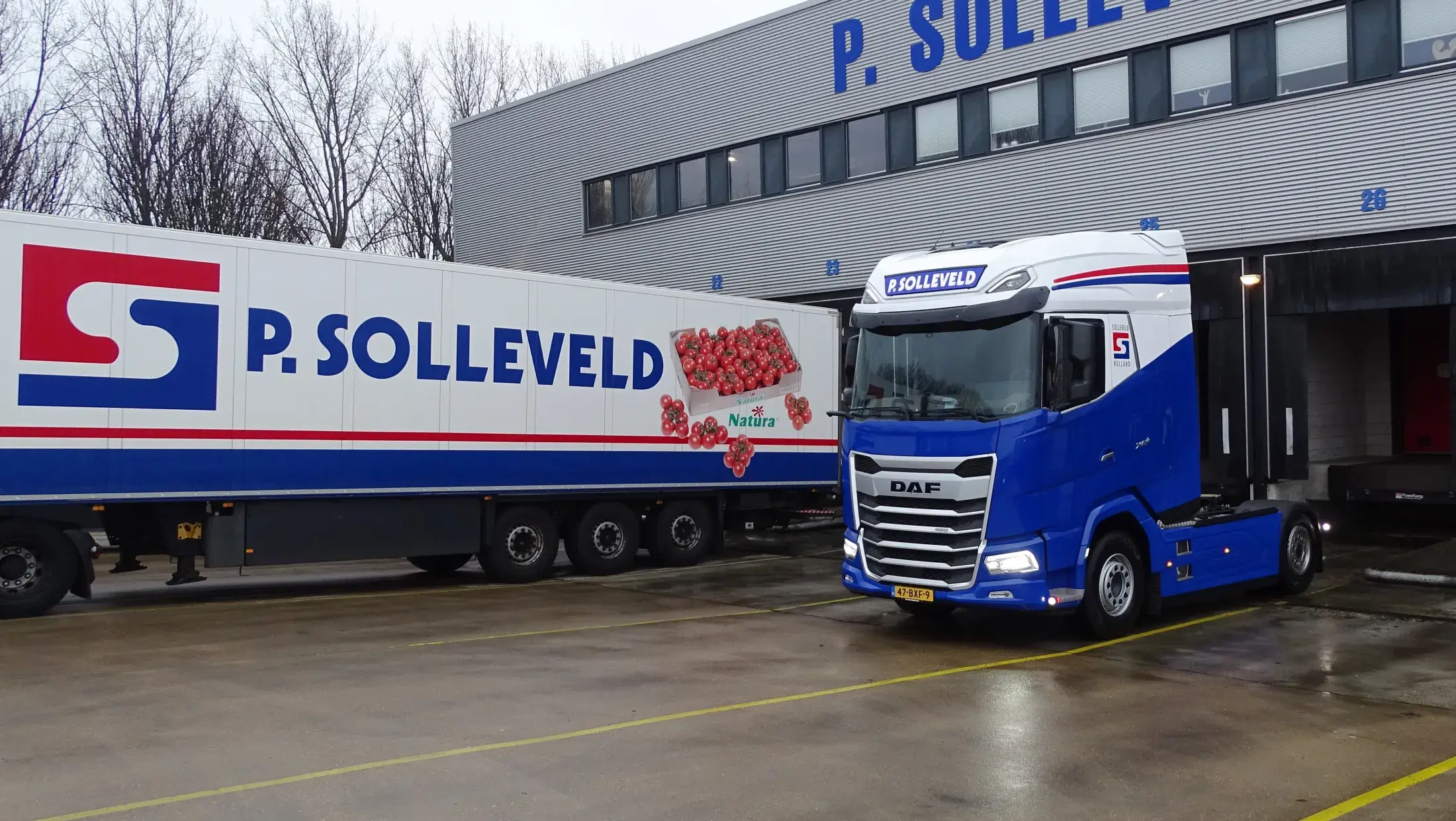 XG+ 480 FT NGD - Solleveld Export BV