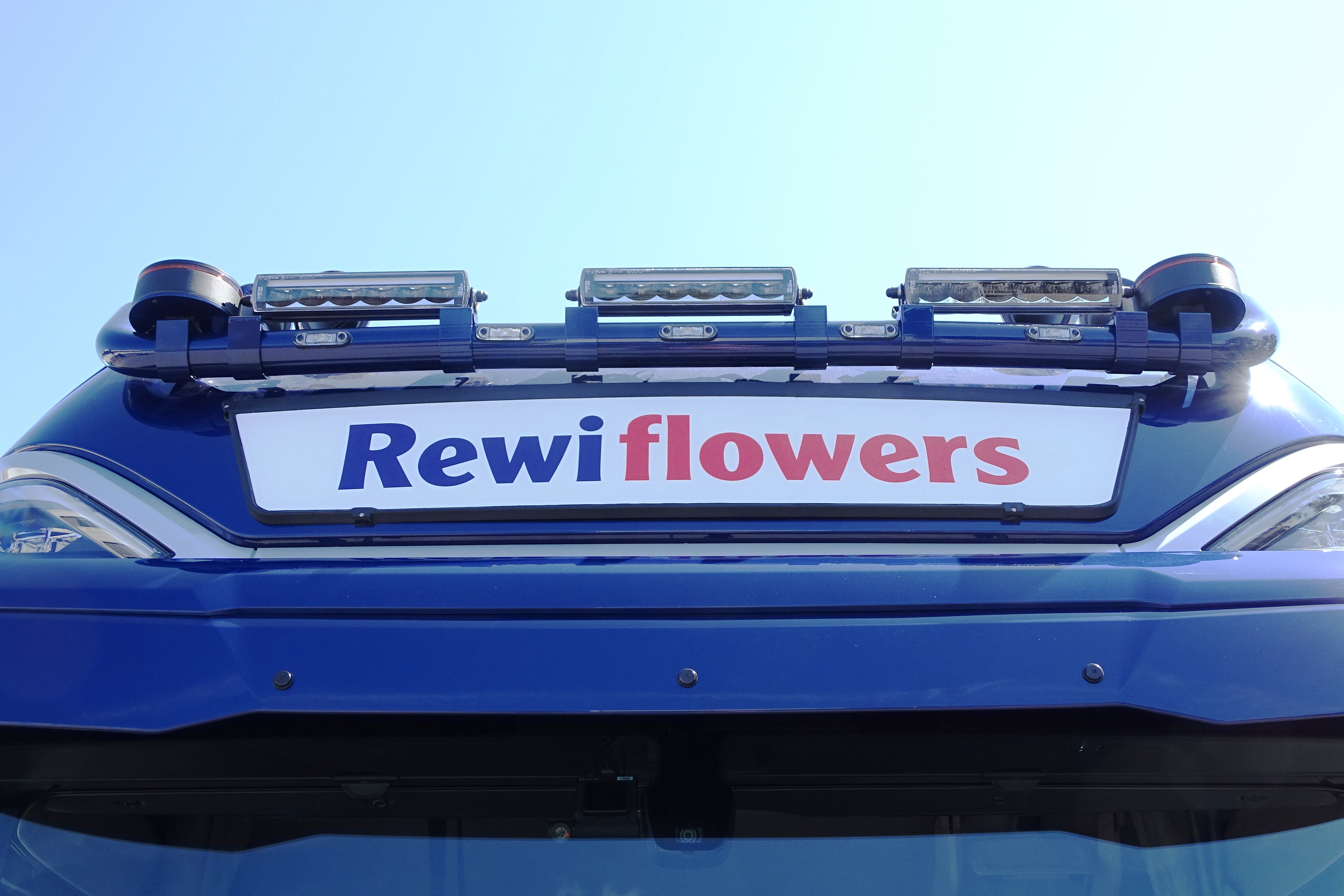 DAF XG+ 480 FT NGD - REWI FLOWERS