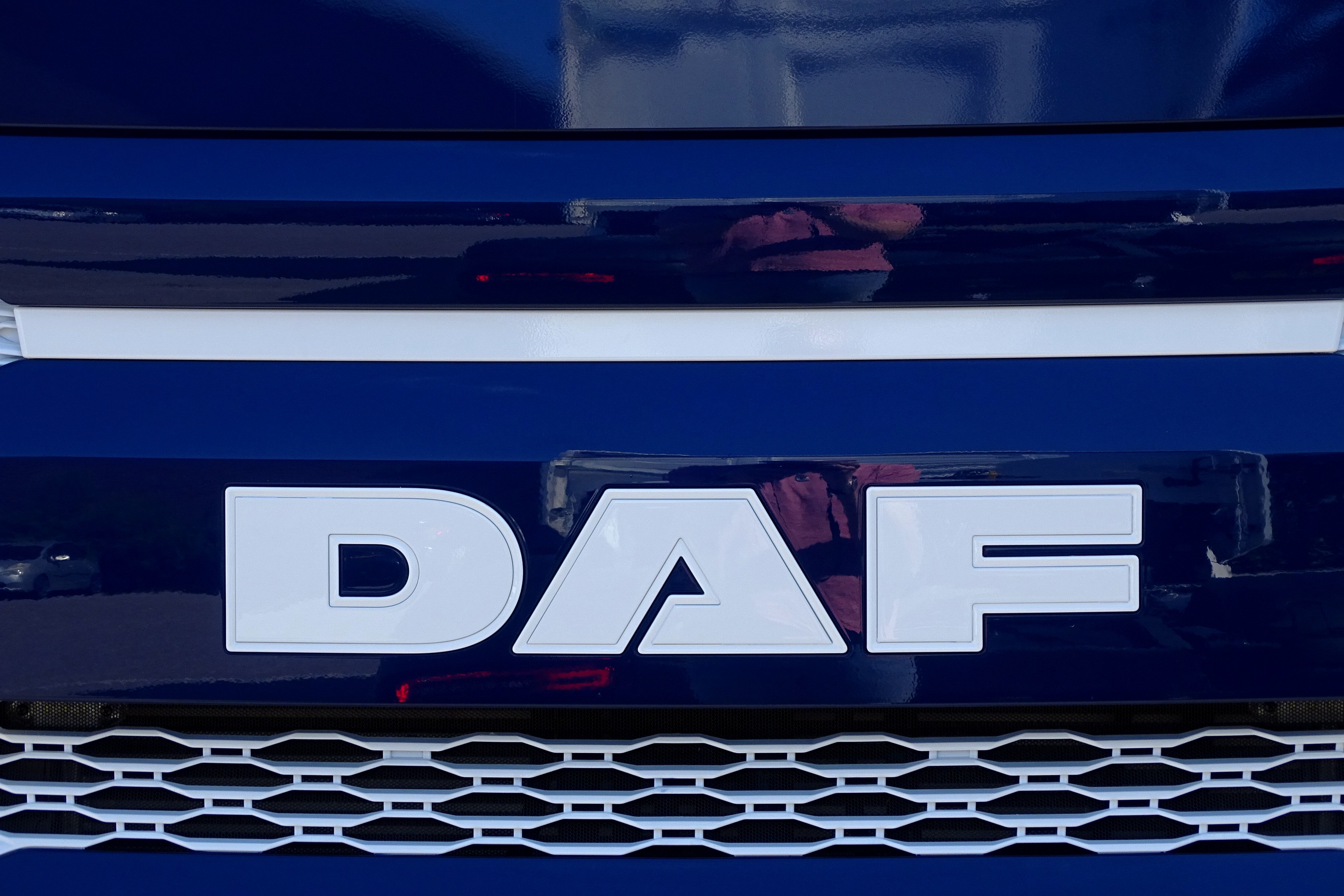 DAF XG+ 480 FT NGD - REWI FLOWERS