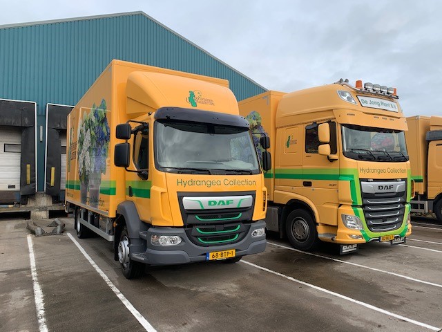 De Jong Plant - LF 230 FA DC 14T