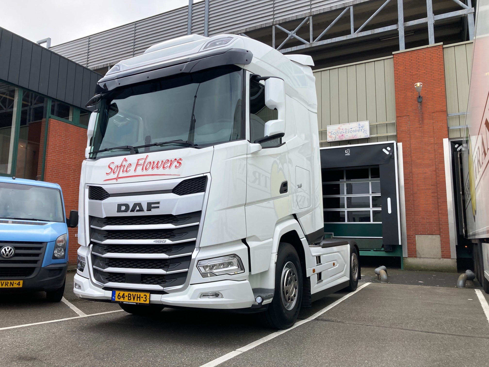 XG 480 FT SHC NGD - Sofie Flowers