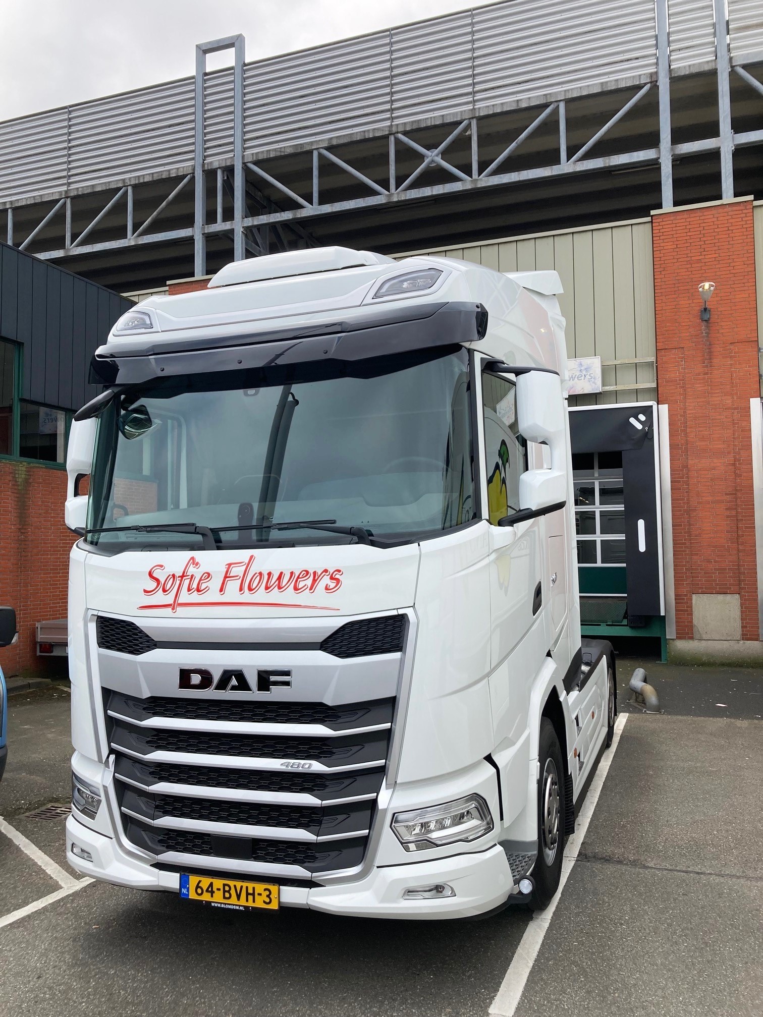 XG 480 FT SHC NGD - Sofie Flowers