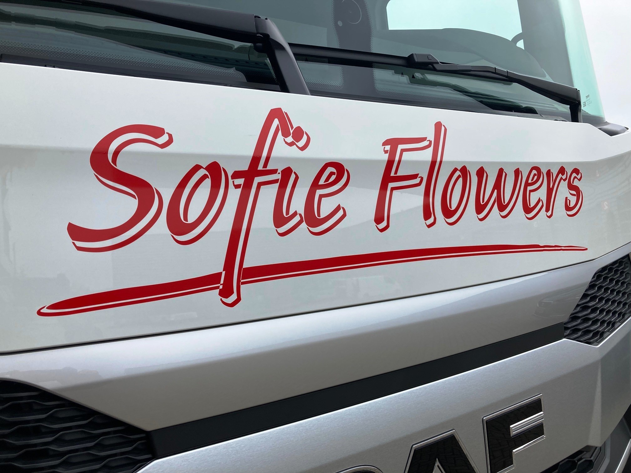 XG 480 FT SHC NGD - Sofie Flowers