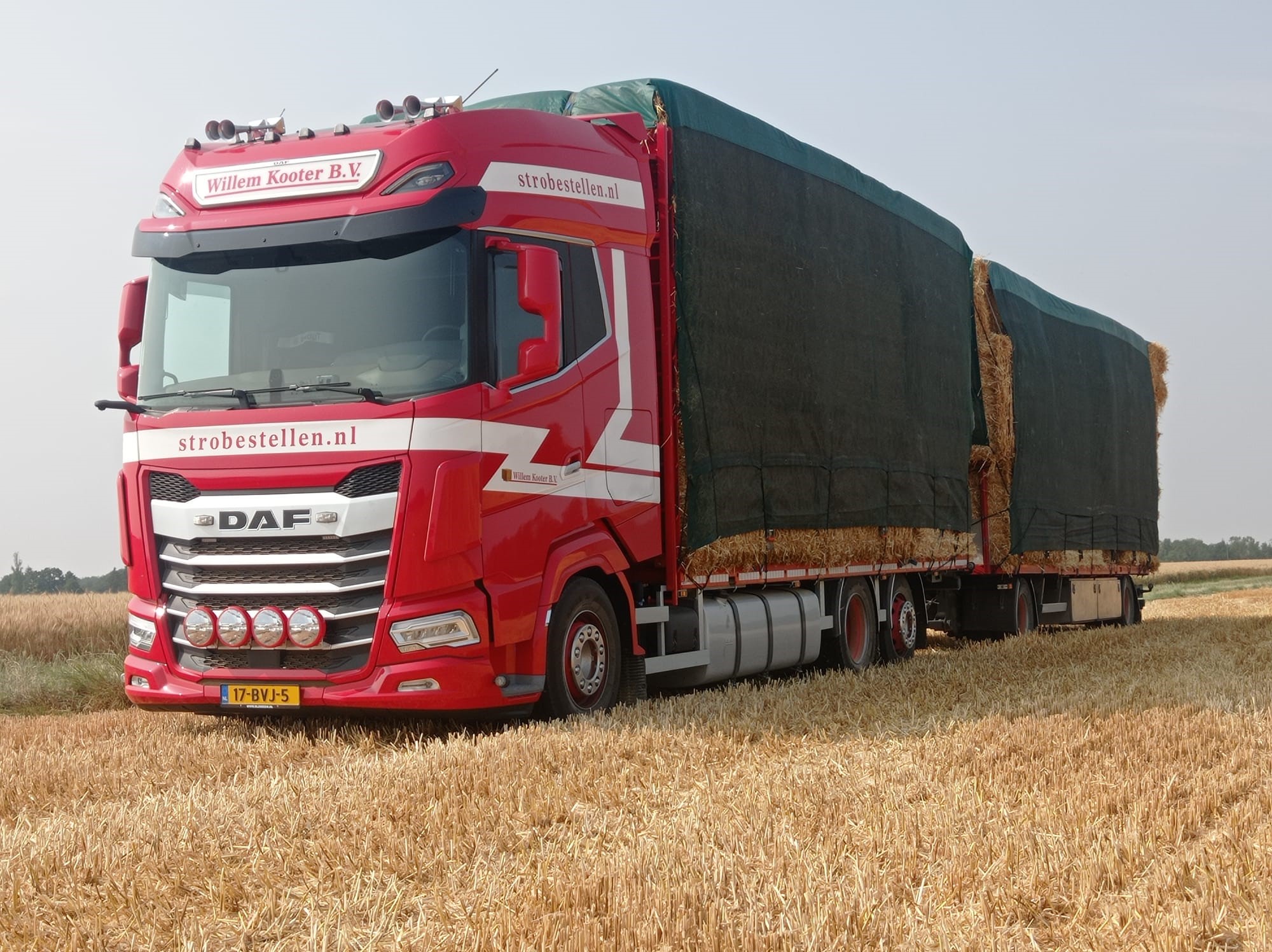 DAF XG 480 FAN NGD - Willem Kooter