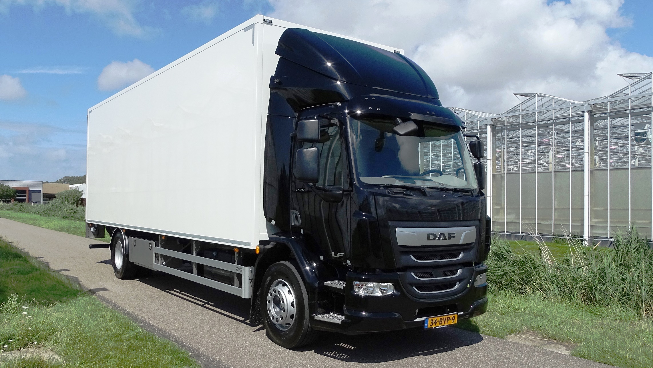 LF 230 FA DC 19T - BOS Flowers & Orchids