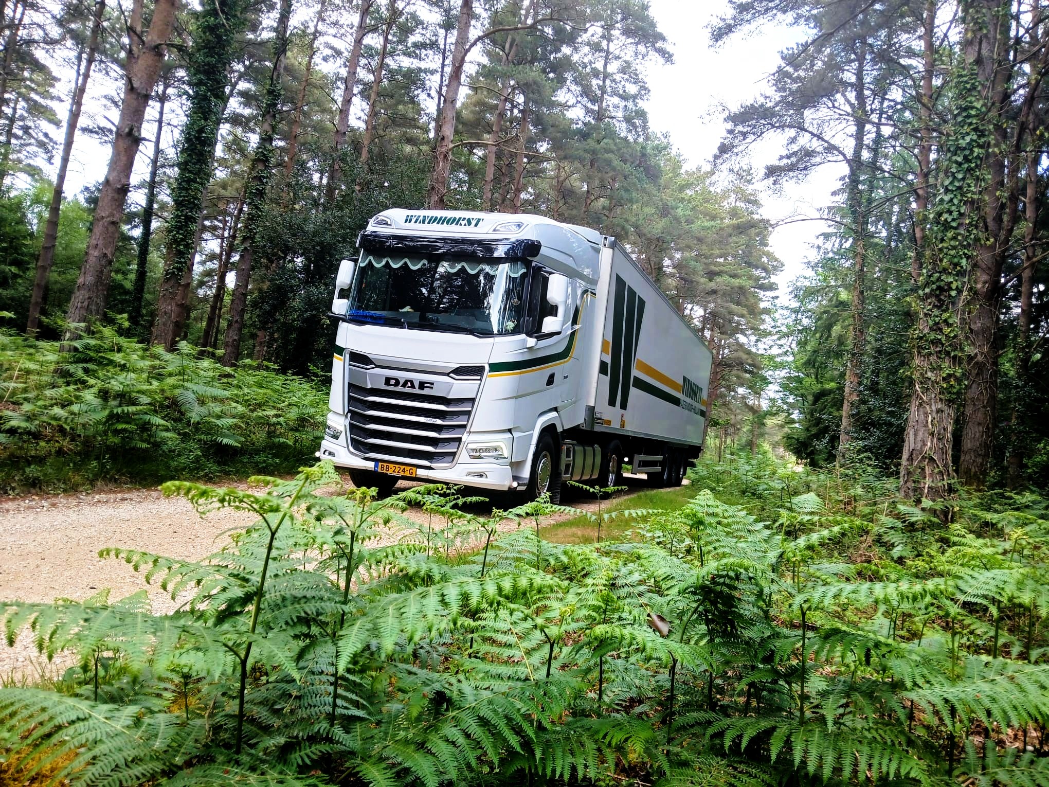 XG 480 FT NGD - Windhorst