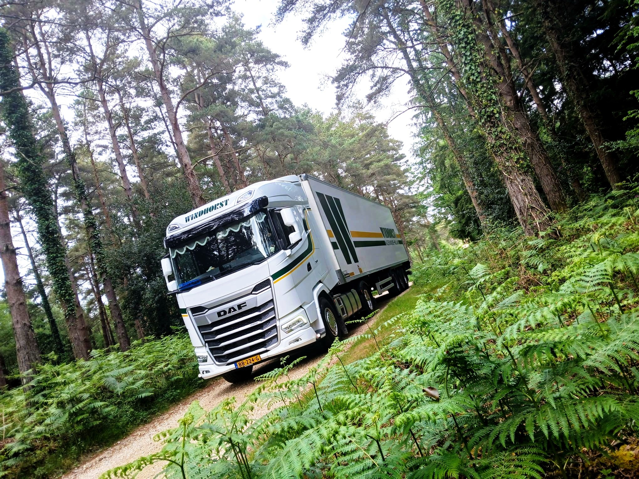 XG 480 FT NGD - Windhorst