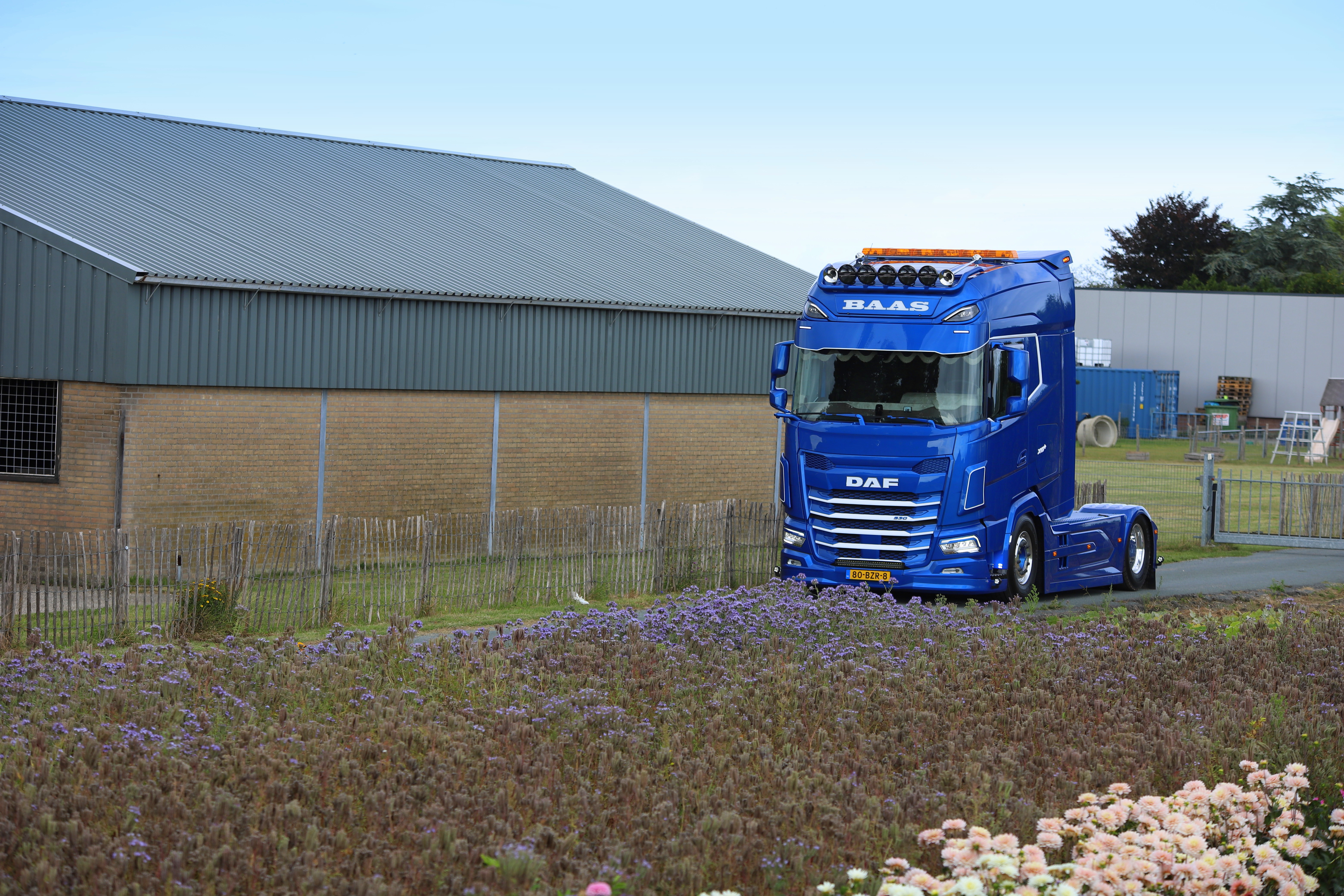 DAF XG+ 530 FT NGD - Baas Transport