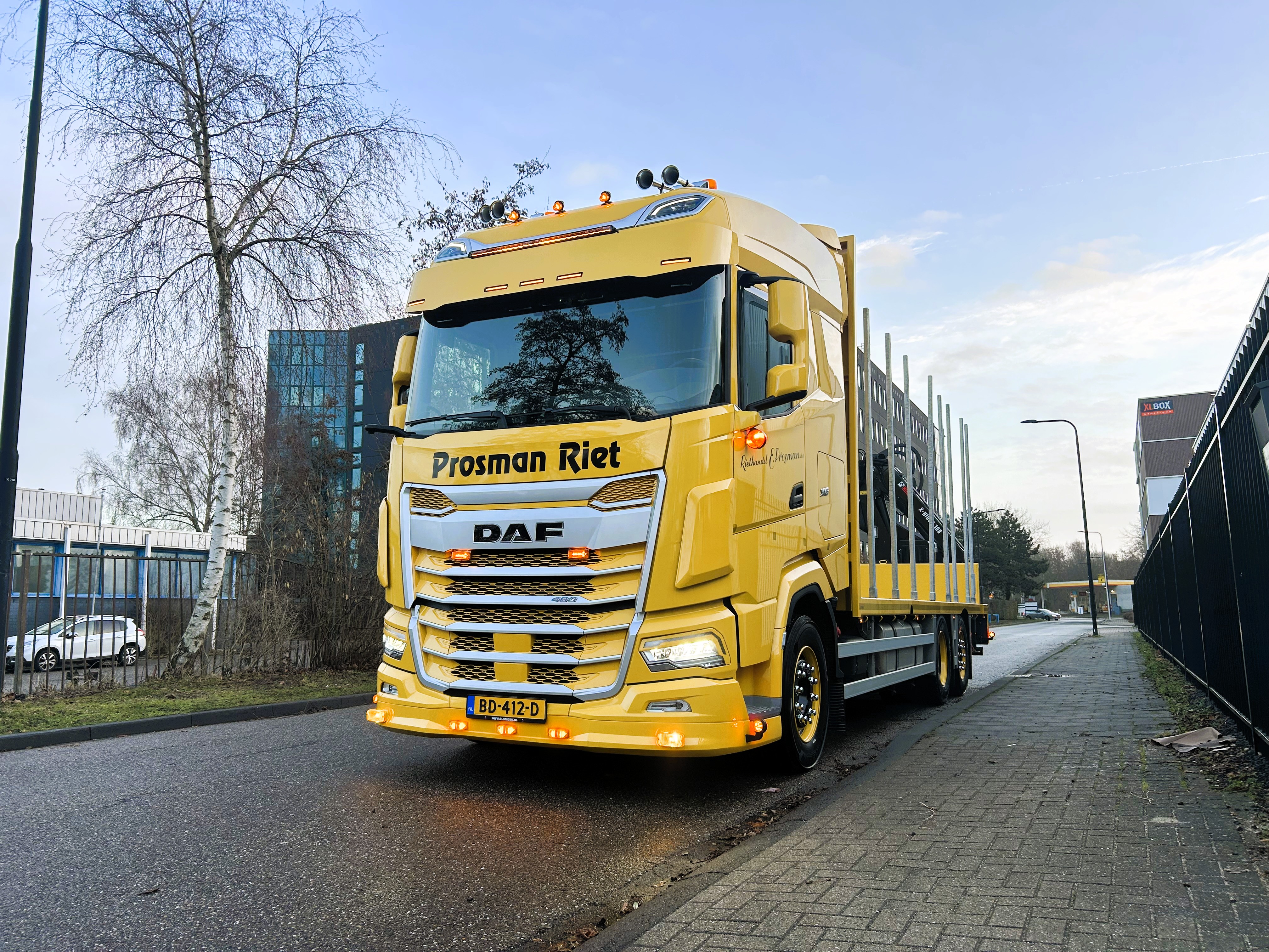 DAF XG 480 FAN NGD - Prosman Riethandel