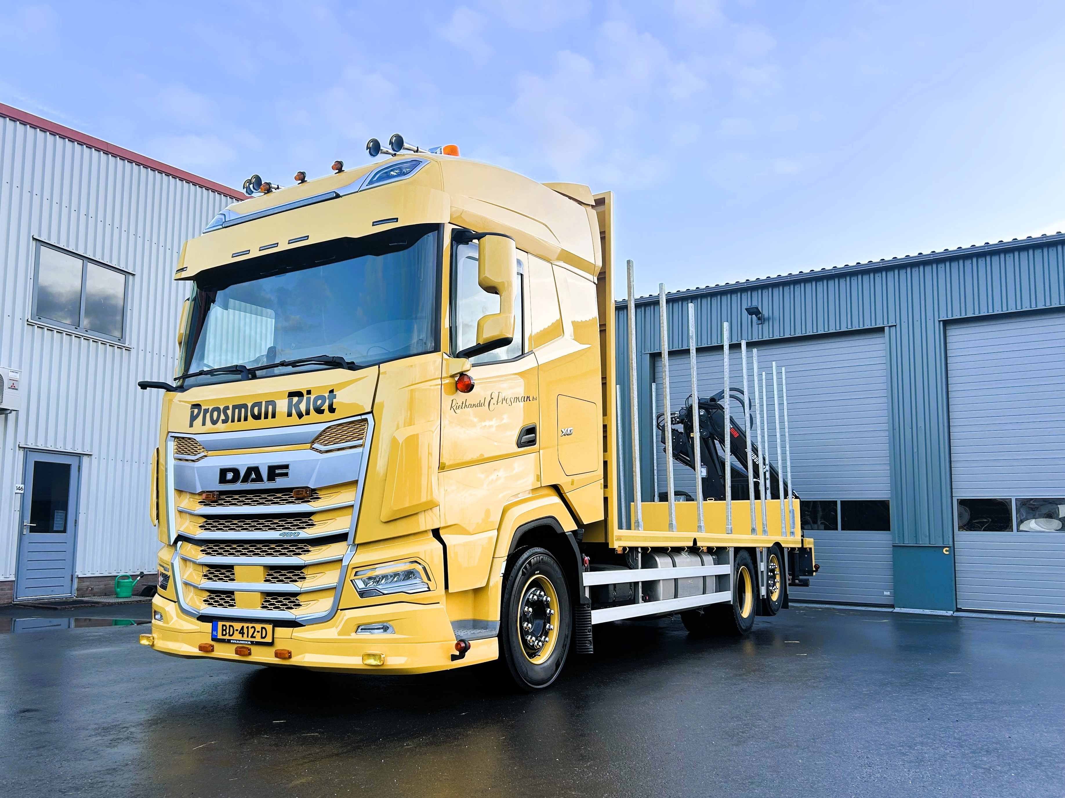 DAF XG 480 FAN NGD - Prosman Riethandel