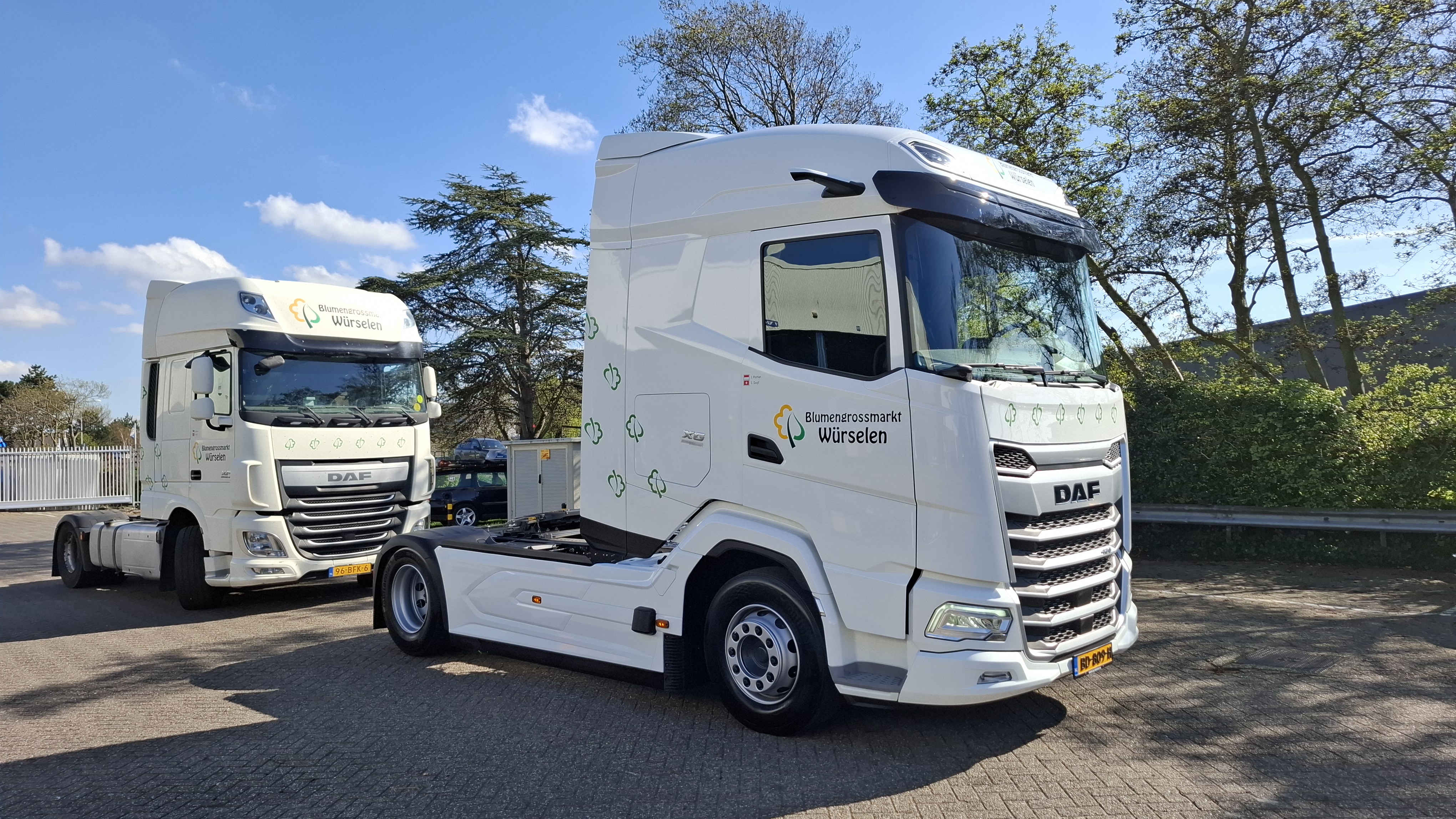 DAF XG 480 FT NGD - Dave van der Meer Bloemenexport