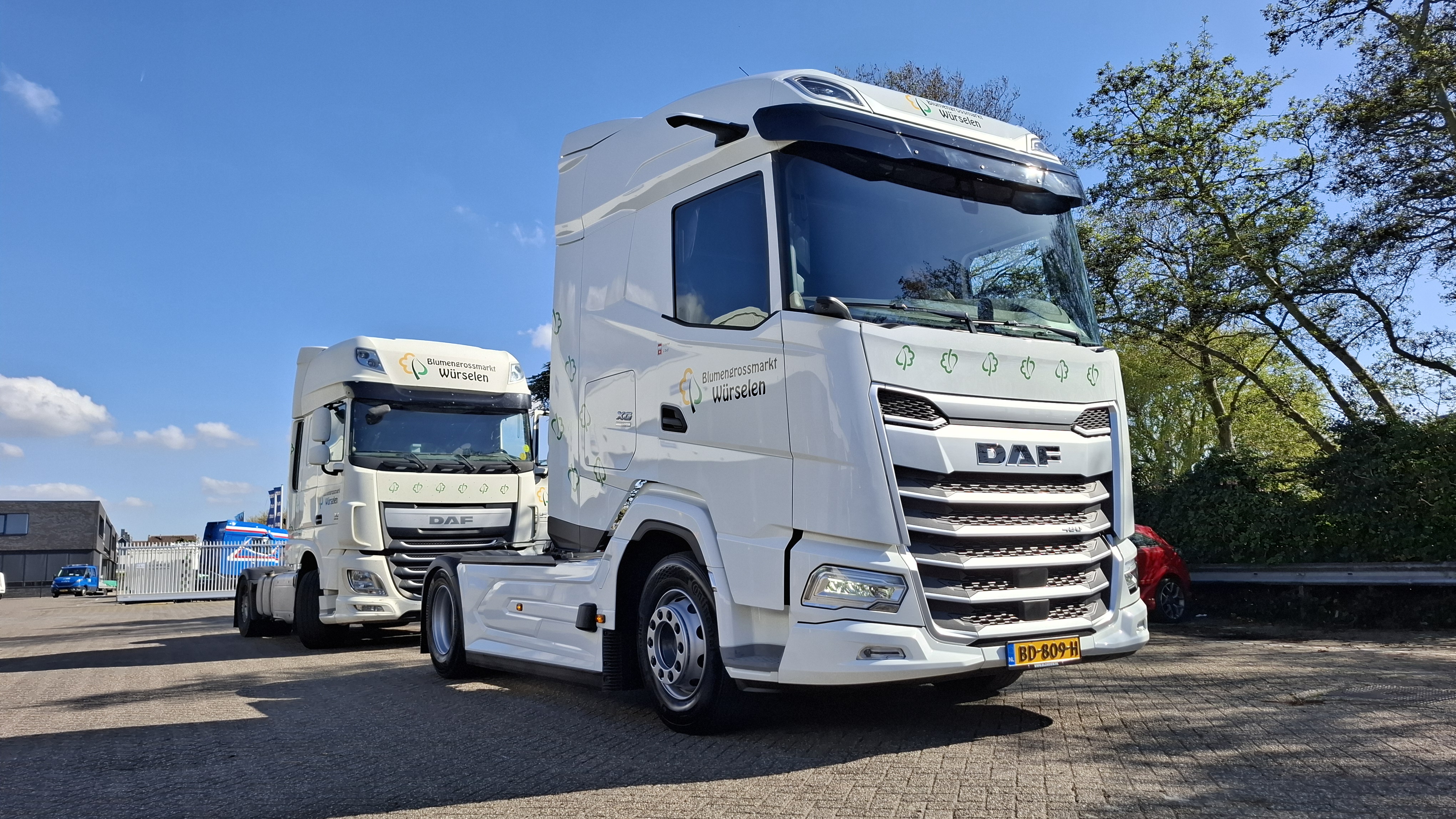 DAF XG 480 FT NGD - Dave van der Meer Bloemenexport
