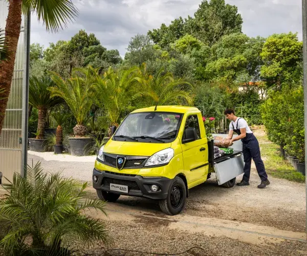 Piaggio Porter NPE Bloemen