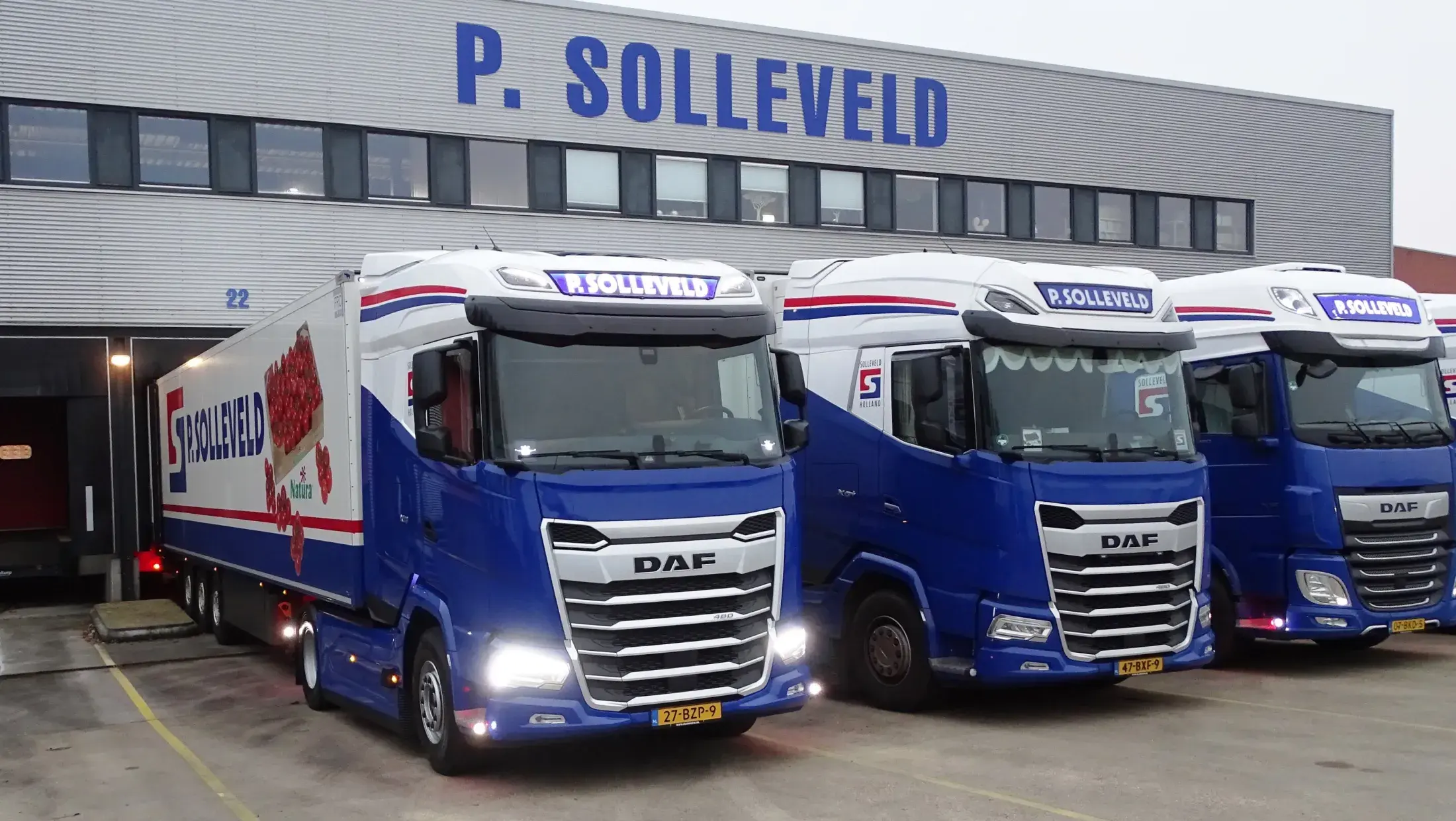 DAF XG 480 FT NGD - Solleveld Export