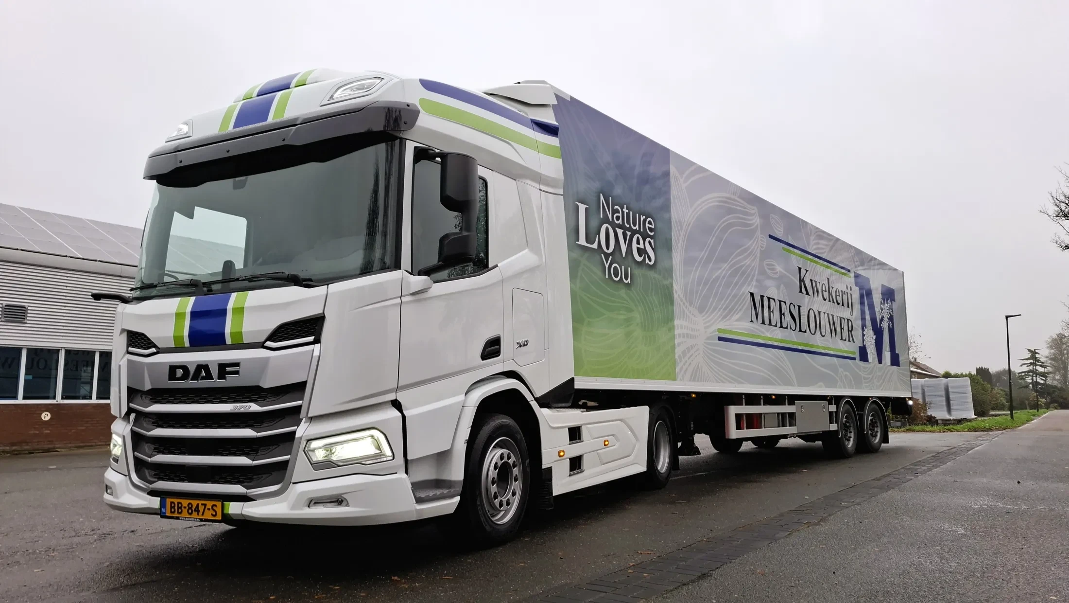 DAF XD 370 FT SHC NGD - kwekerij Meeslouwer