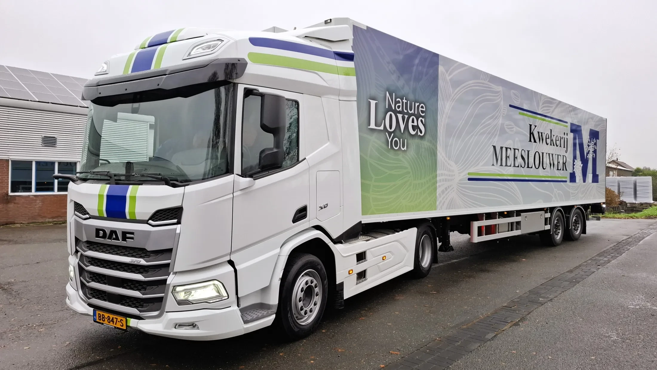 DAF XD 370 FT SHC NGD - kwekerij Meeslouwer