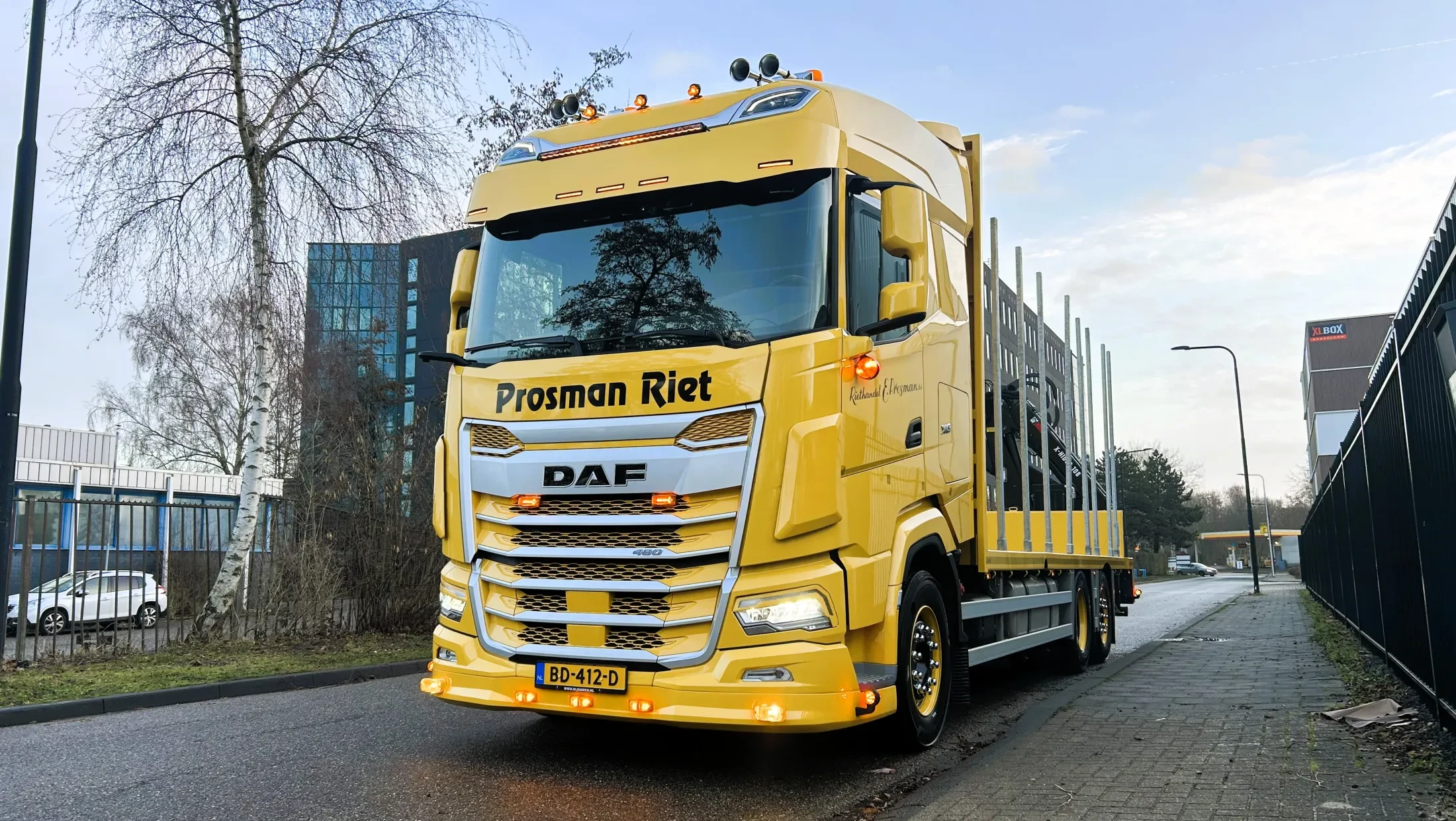 DAF XG 480 FAN NGD - Prosman Riethandel