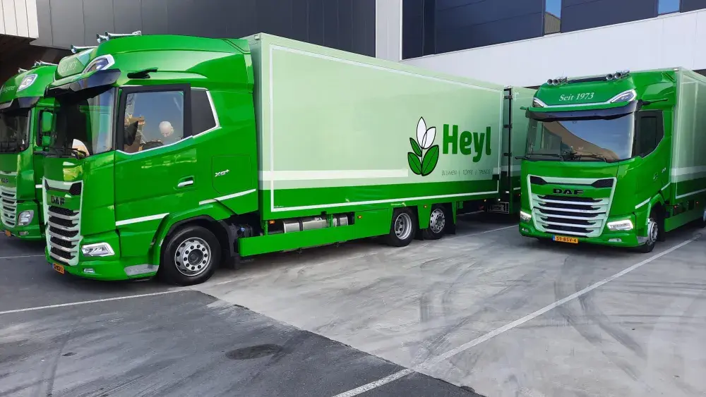 2x DAF XG+ FAN 530 - Heyl 3